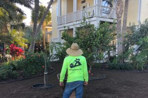 MT Yard Service, LLC